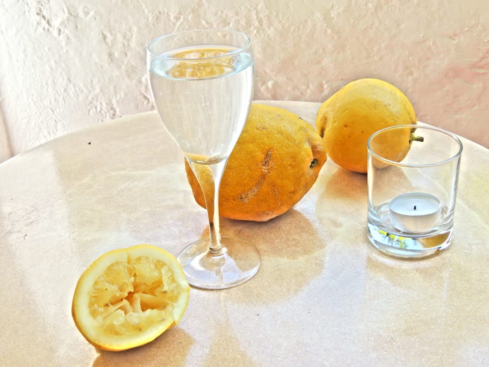 Gastro Hotel Terme Royal Palm