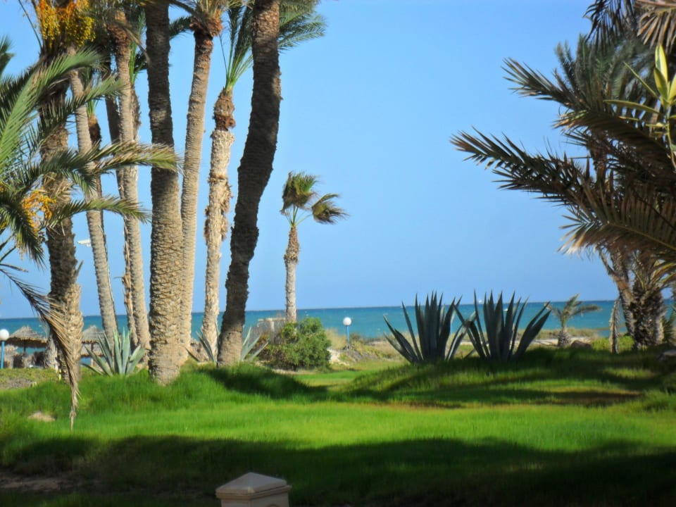 Der Blick aus unserem Zimmer Zita Beach Resort