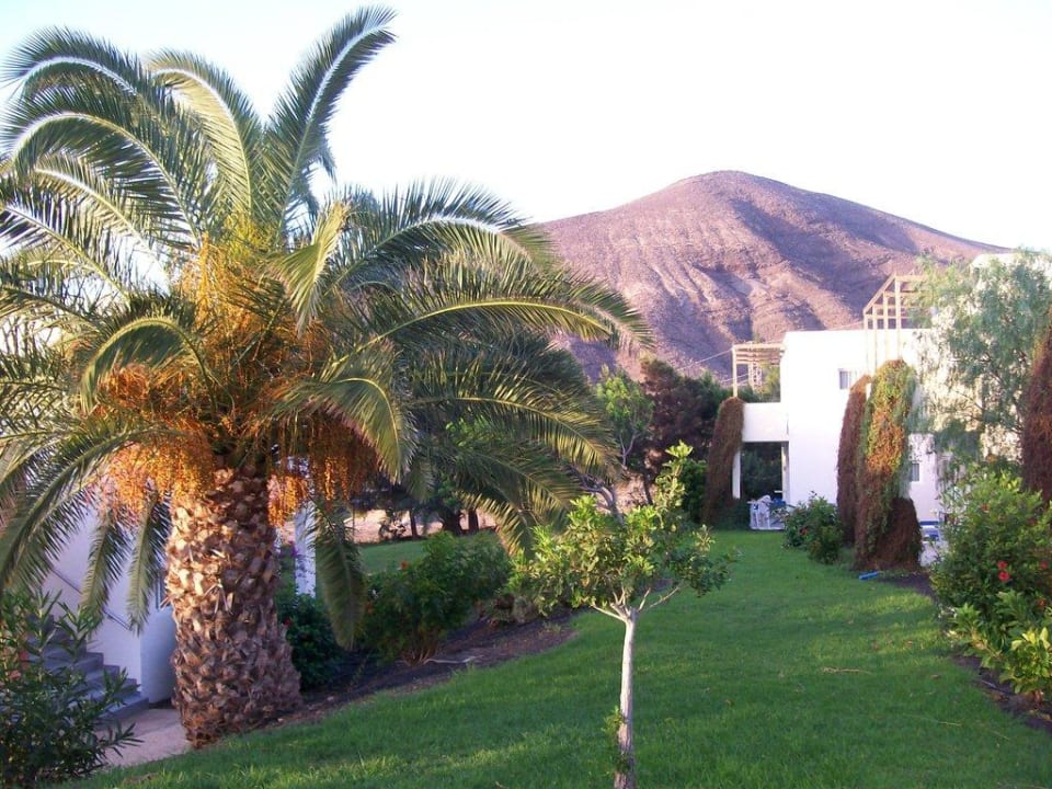 Ausblick vom Bungalow allsun App.-Hotel Esquinzo Beach
