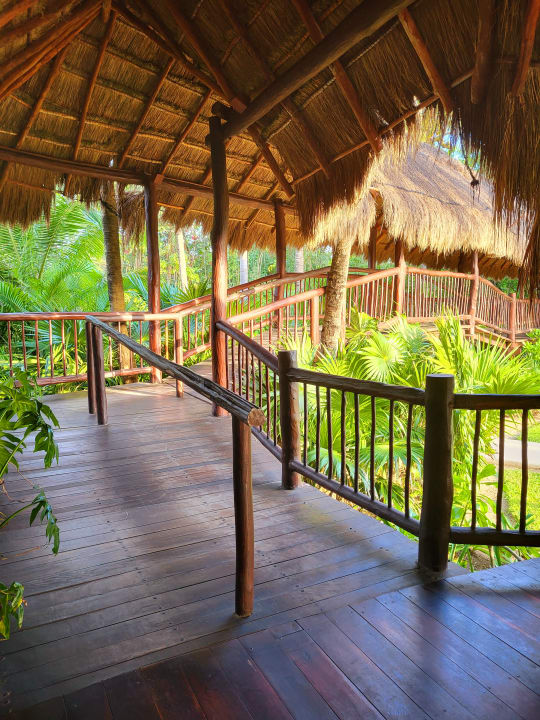 Sonstiges Akumal Bay Beach & Wellness Resort