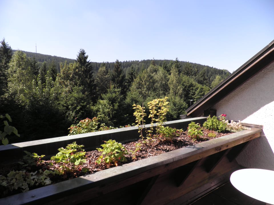 Ausblick Gästehaus Sonneck