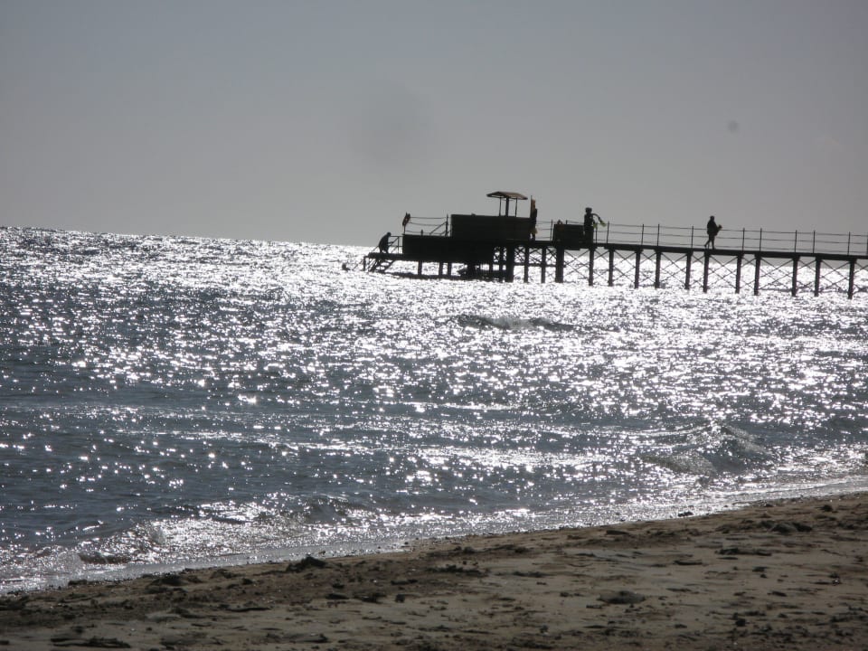 Hotel Steg Hotel Gorgonia Beach Resort