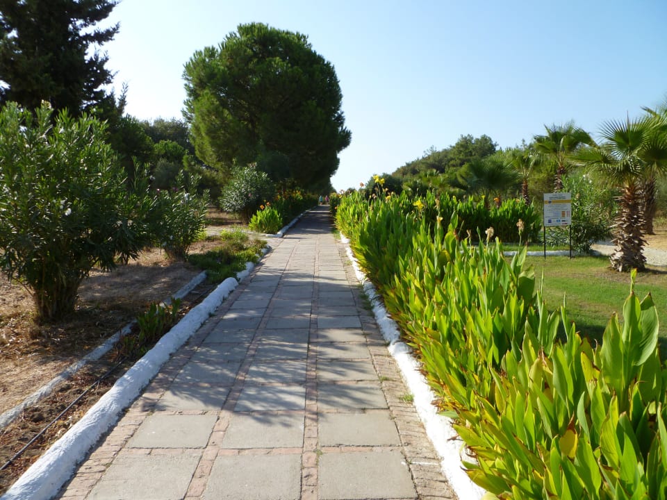 Der Weg zum Meer Hotel Süral Garden