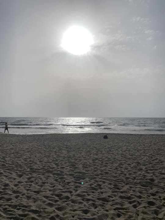 Ausblick CM Playa del Moro