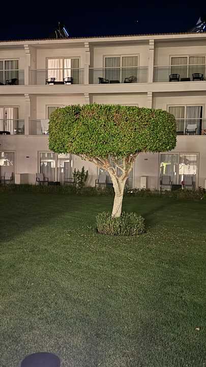 Gartenanlage Amarina Abu Soma Resort & Aquapark