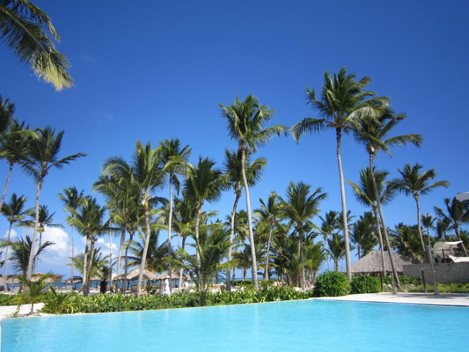 Pool in Strandnähe Catalonia Royal Bavaro - Adults only