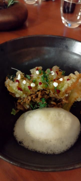 Gastro Acanthus Cennet Barut Collection