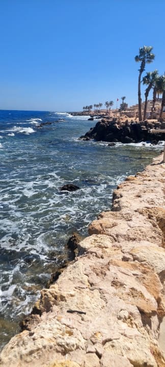 Strand Pickalbatros Citadel Resort