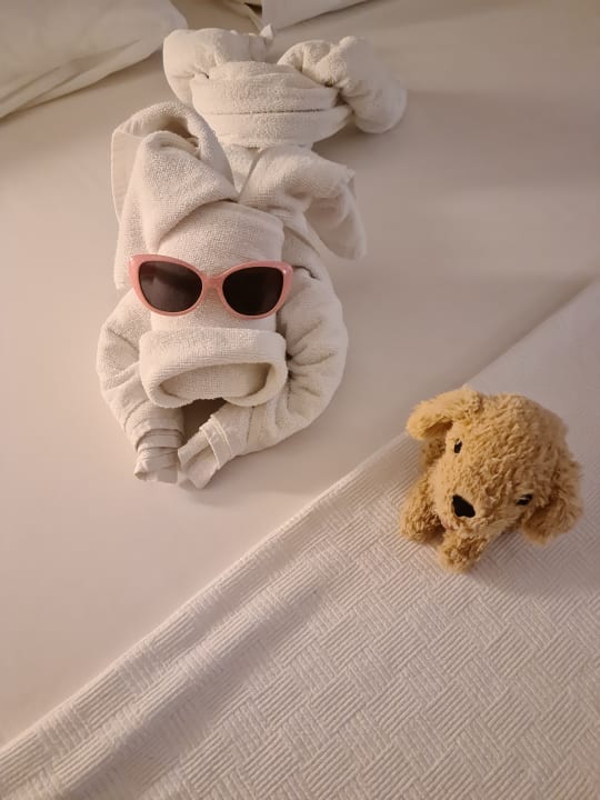 Zimmer Telatiye Resort