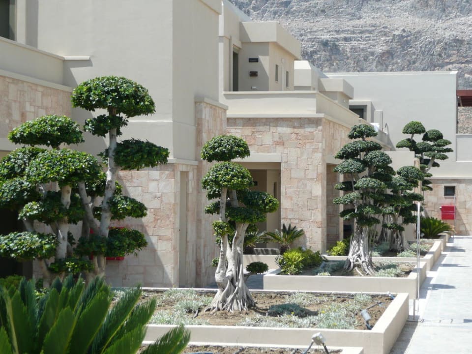 Gartenanlage Aquagrand Artistic Luxury Beach Resort - Adults only