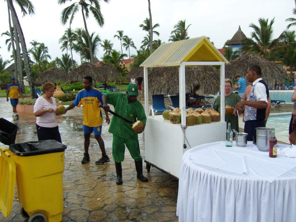 Kokusnüsse am Pool Punta Cana Princess All Suites Resort & Spa