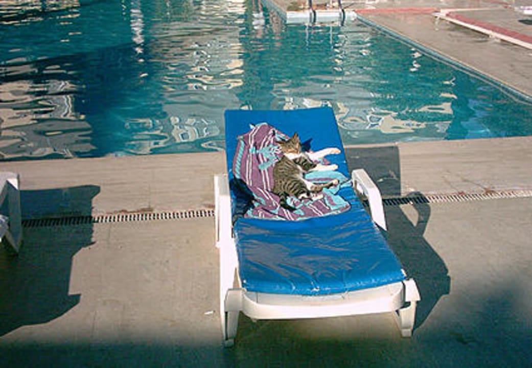 Am Pool.03 Hotel Club Verano
