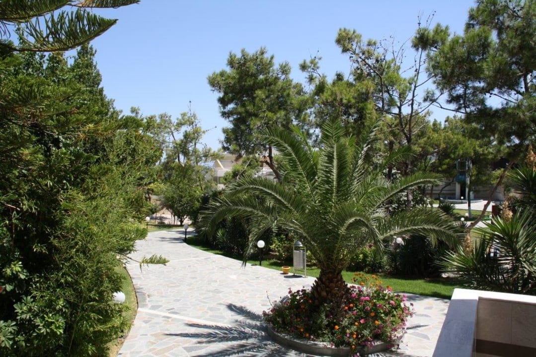 Przy hotelu Mare Hotel Kalithea Horizon Royal