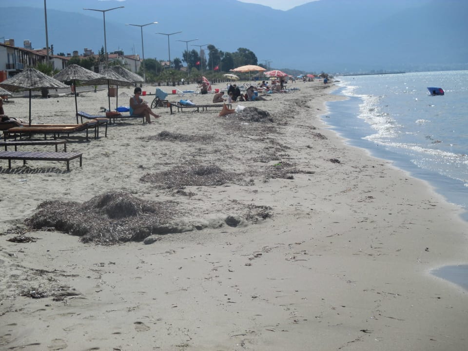 Strand Palm Wings Kusadasi Beach Resort & Spa