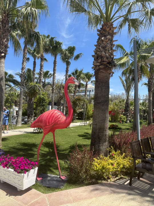 Gartenanlage Belek Beach Resort Hotel