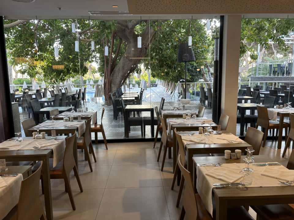 Gastro Hotel Riu Festival