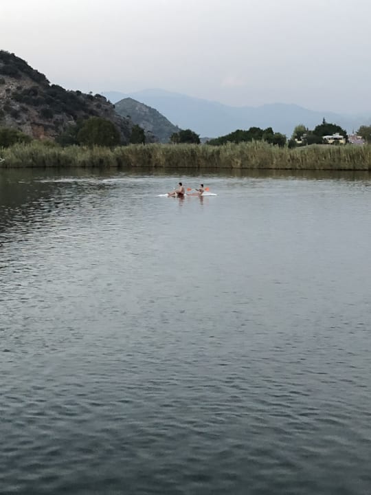 Ausblick Midas Pension