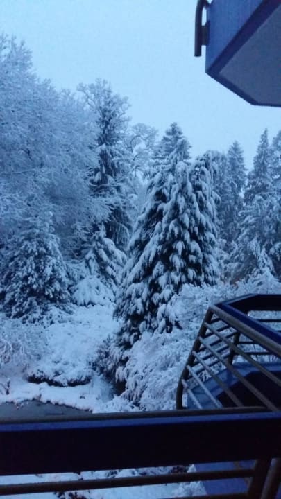 Traumhafte Aussichten  Fini-Resort Badenweiler