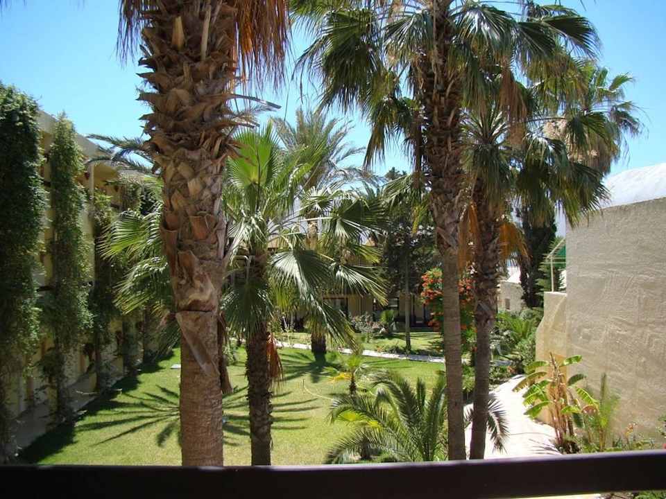 Ogród Hotel Paradis Palace