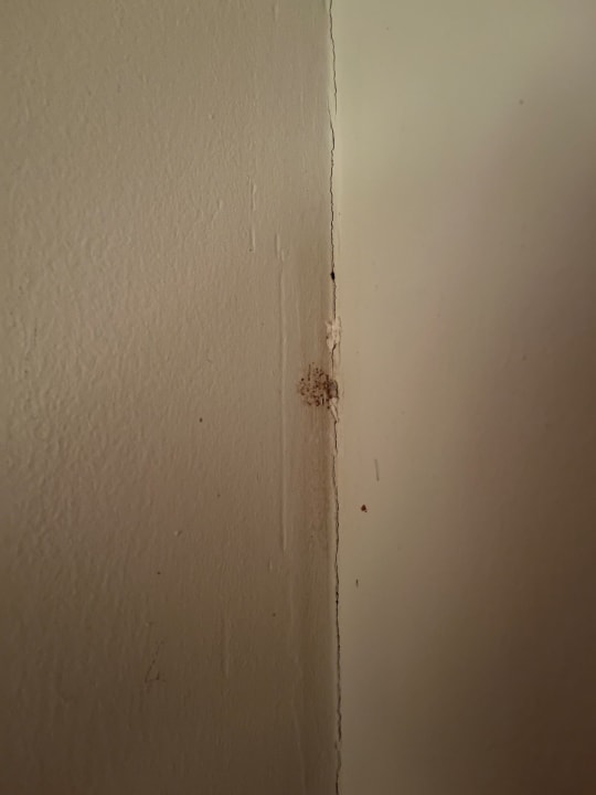 Zimmer Angaga Island Resort