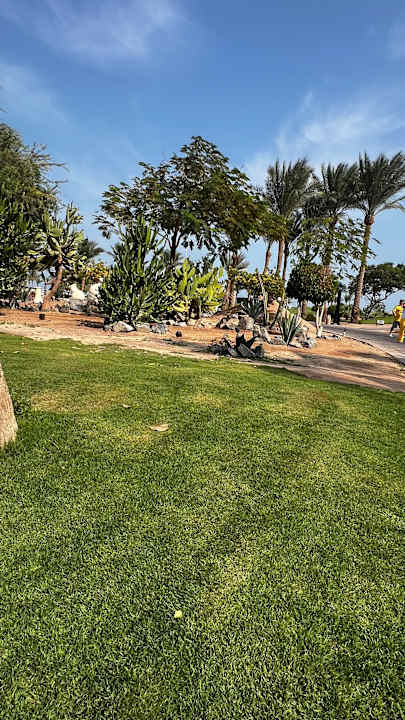 Gartenanlage Steigenberger Aqua Magic