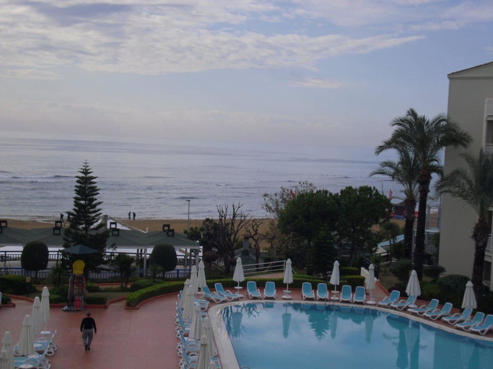 Sentido PALOMA Perissia