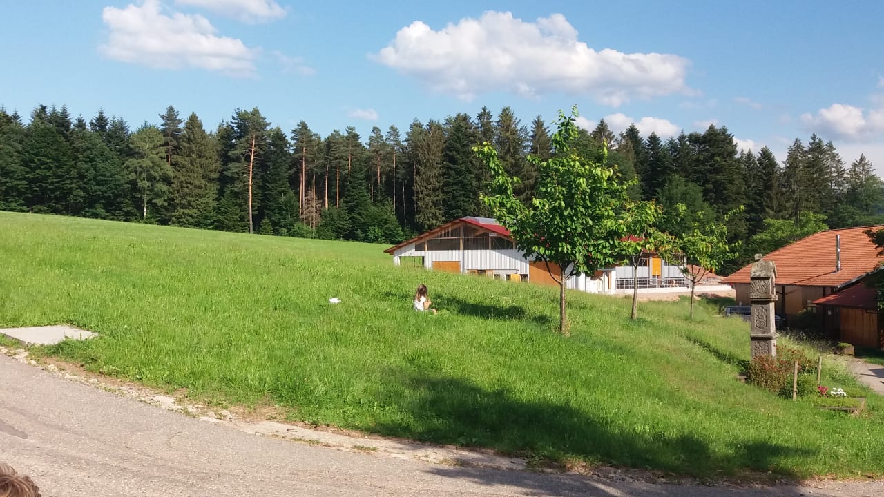 Gartenanlage Schlosshof - der Urlaubsbauernhof
