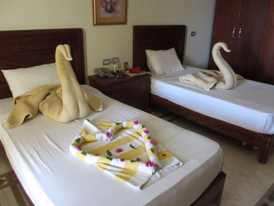 Лебеди Imperial Shams Abu Soma