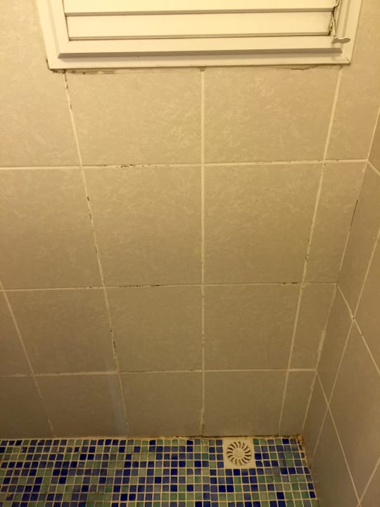 Schimmel Hotel Diva's