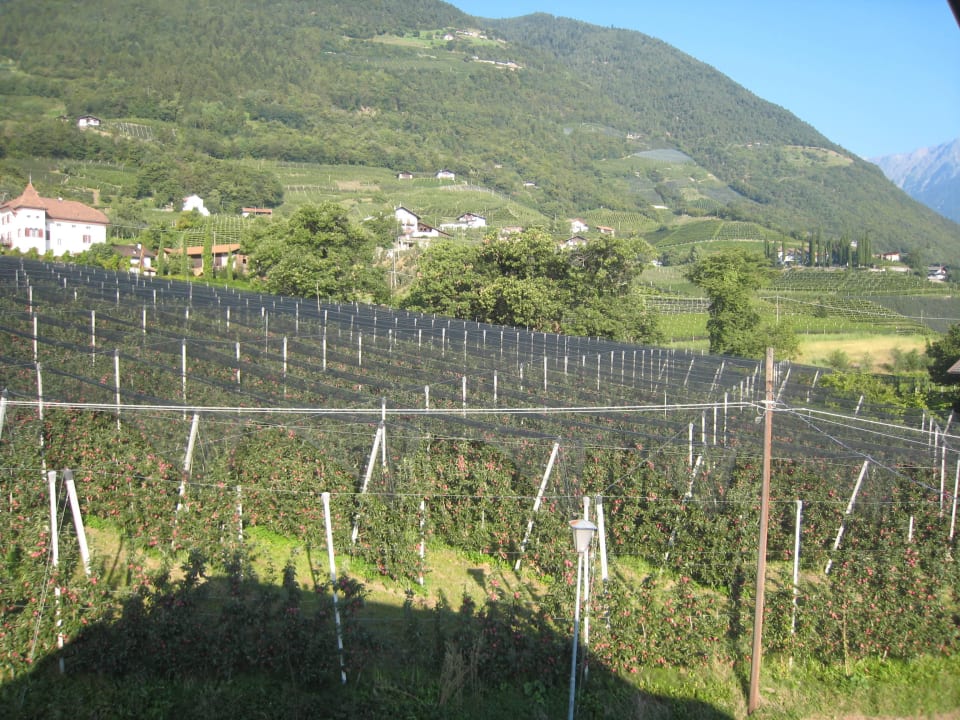 Blick vom Balkon Haus Sonnegg