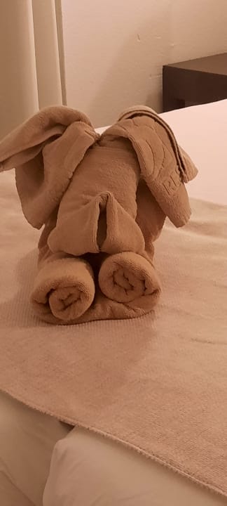 Zimmer SBH Hotel Taro Beach