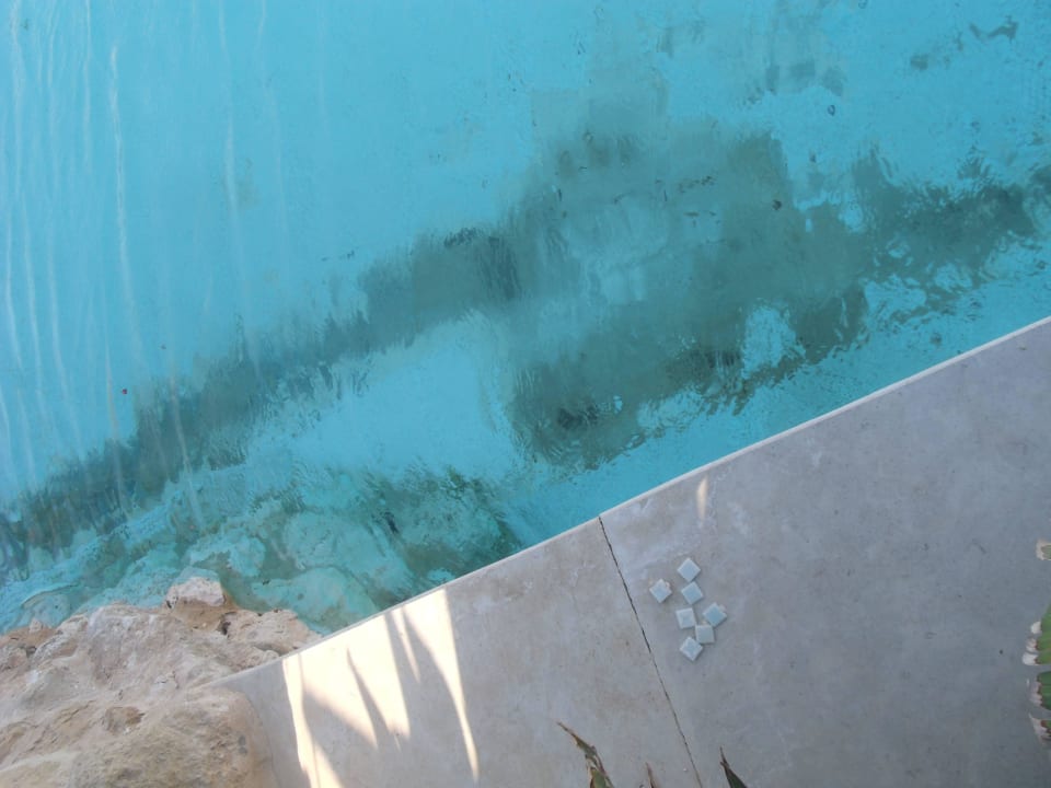 Pool Makadi Spa - Adults only