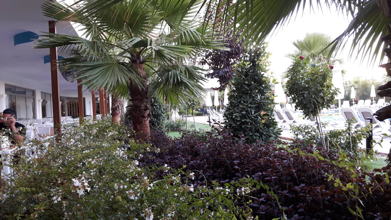 Gartenanlage Dream World Aqua Hotel