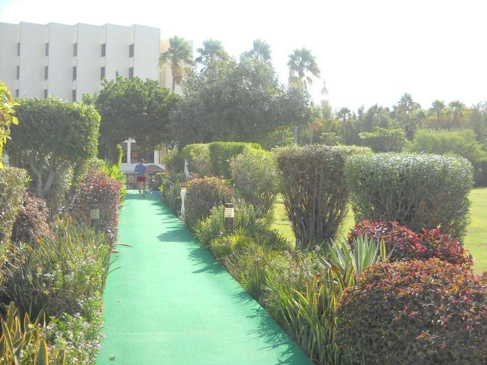 Weg zwischen Hotel und Strand Bin Majid BM Beach Resort