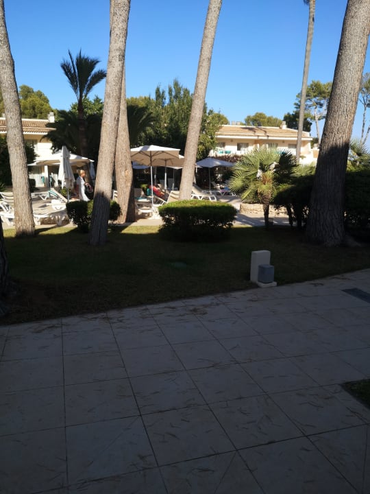 Gartenanlage Iberostar Waves Pinos Park