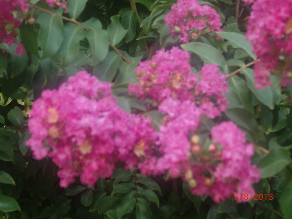 VON Club Golden Beach VONRESORT Golden Beach