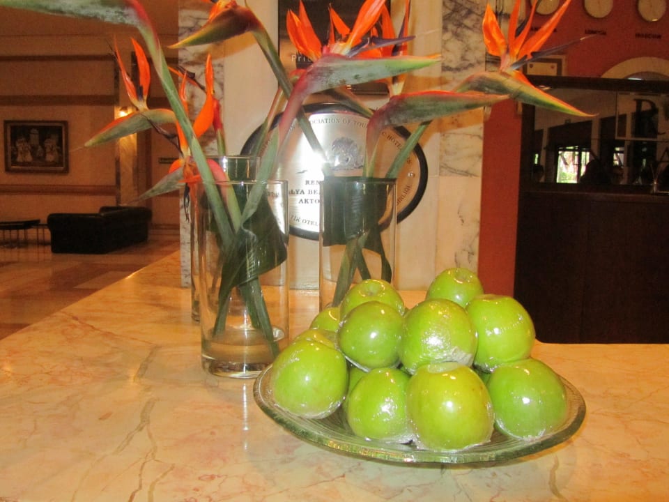 Paloma Renaissance Antalya Beach Resort & SPA Balmy Foresta