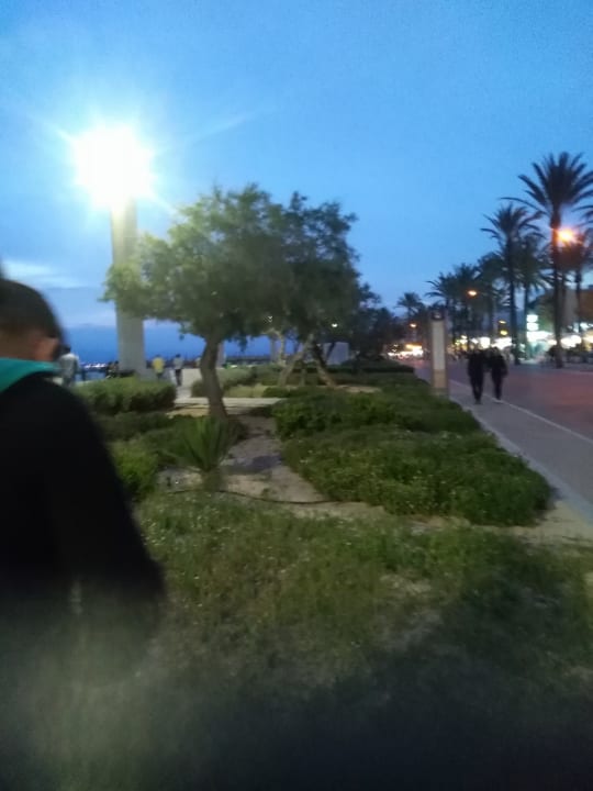 Gartenanlage Hotel Playa Golf