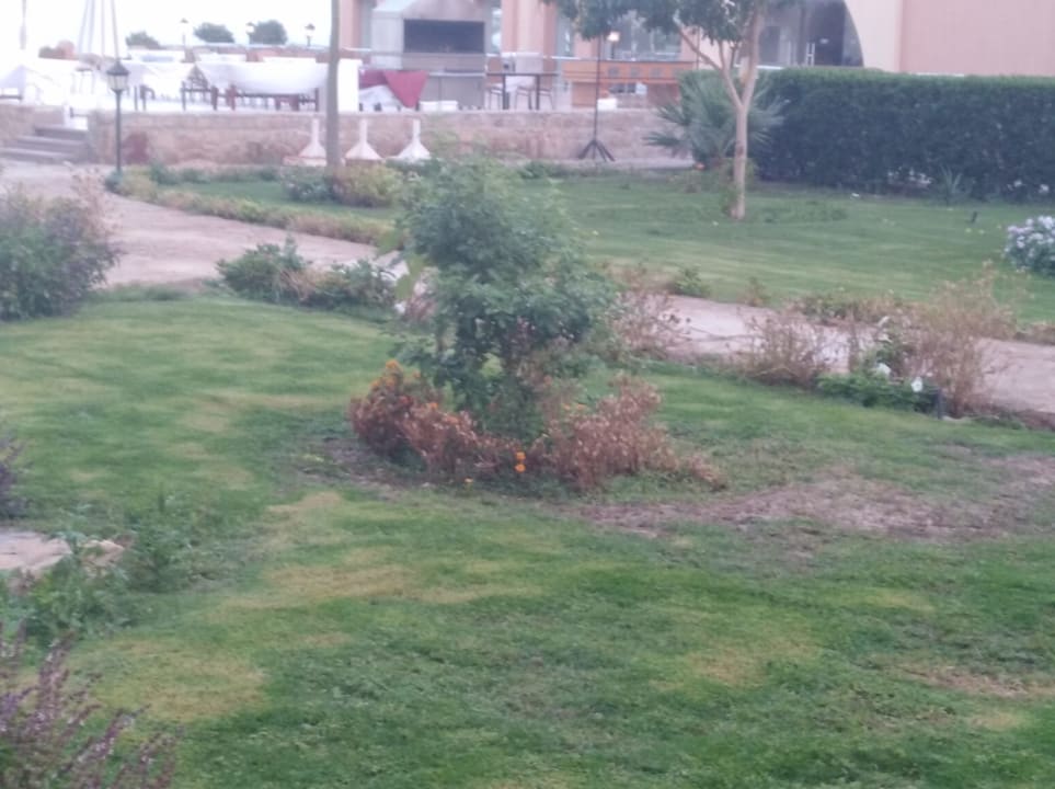 Gartenanlage Three Corners Equinox Beach Resort