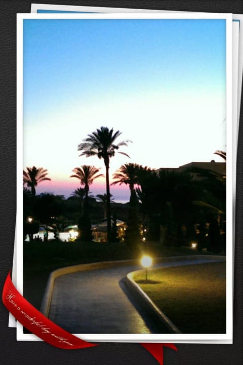 Gartenanlage Hotel Horizon Beach Resort