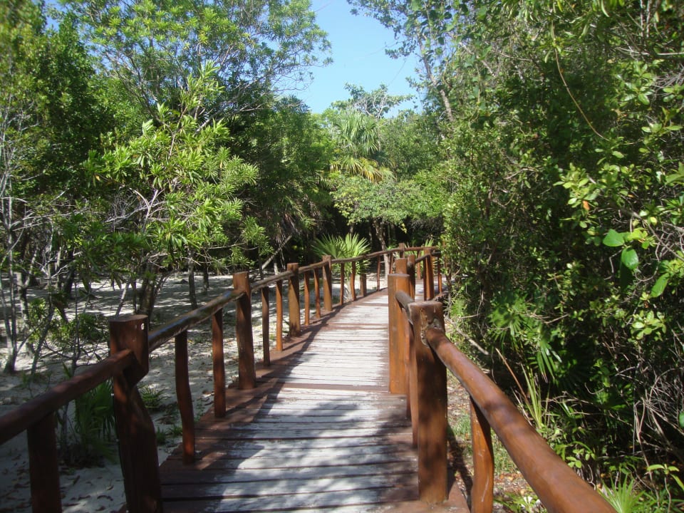 Weg zum Strand Grand Palladium Kantenah Resort & Spa