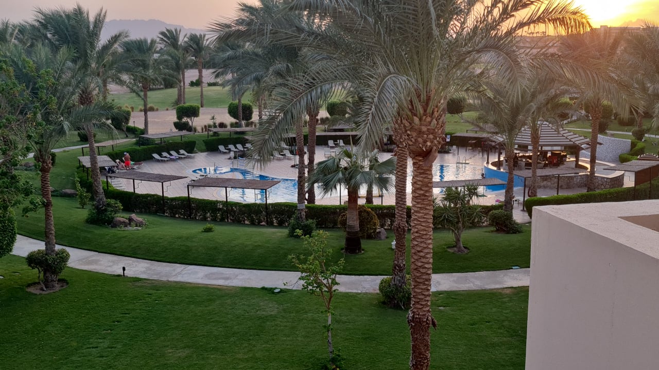 Pool JAZ Neo Saraya Palms