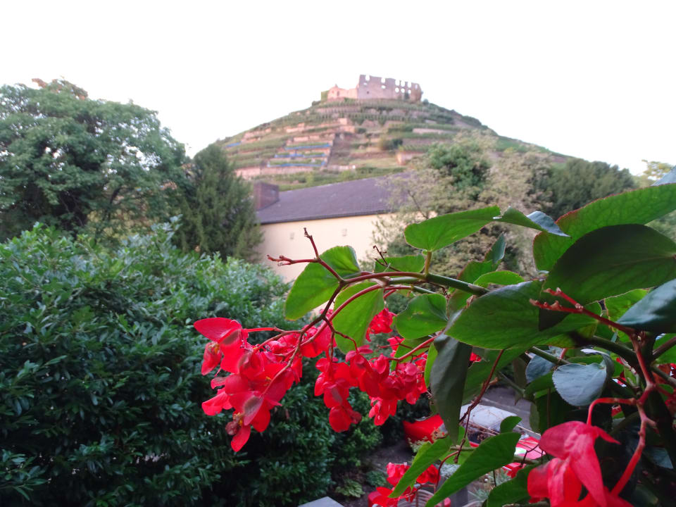 Ausblick Hotel Löwen mit Haus Goethe
