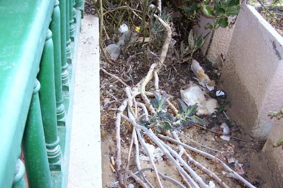 Tolle Aussicht von Zimmer Nr.233 Houda Golf & Beach Club