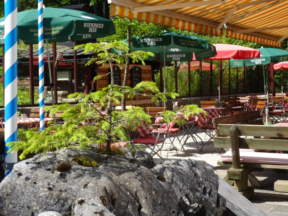 Gastro Aktivhotel & Gasthof Schmelz