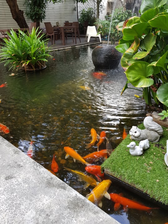 Gastro Hotel Feung Nakorn Balcony Rooms