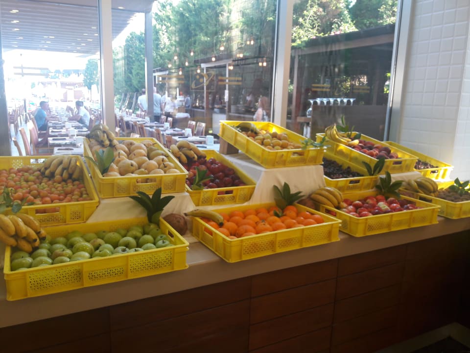 Gastro Saturn Palace Resort Hotel