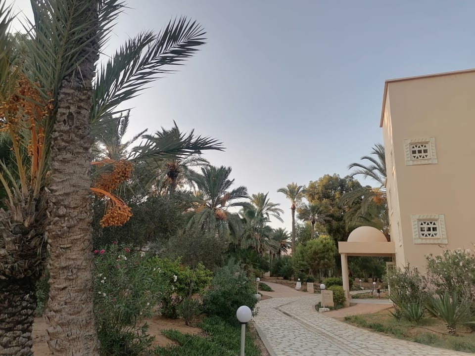 Gartenanlage Zita Beach Resort