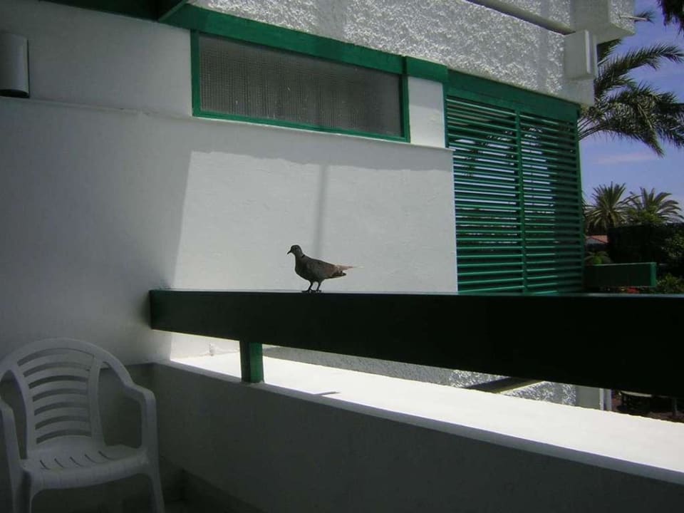 Balkon Maba Playa Apartamentos