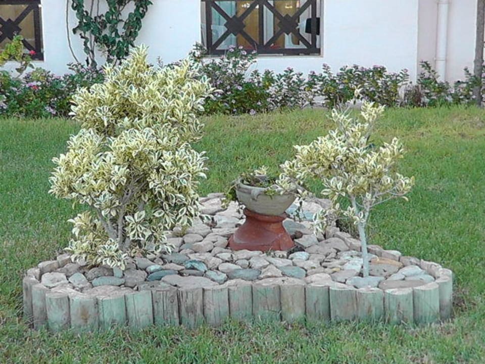 Schöne Gartenlandschaft Vincci Safira Palms